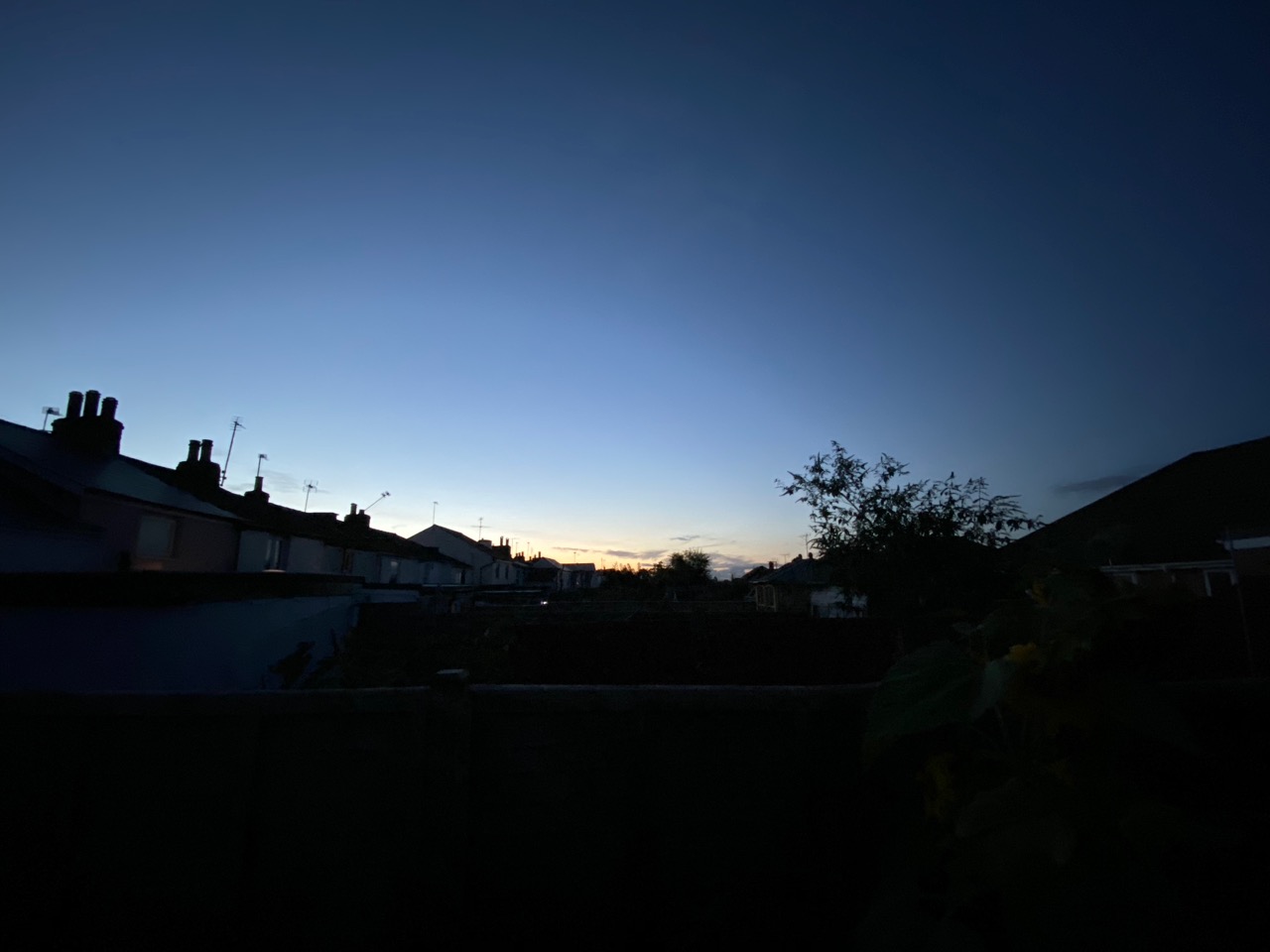 Sun setting behind chimneys and trees